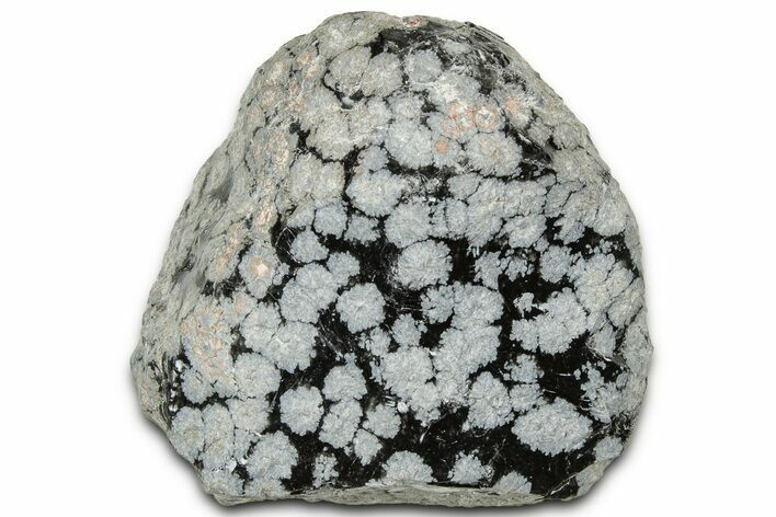 Snowflake Obsidian Section - Utah #327124